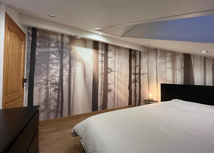 Chalet Mesange