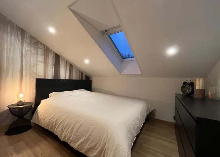 Chalet Mesange