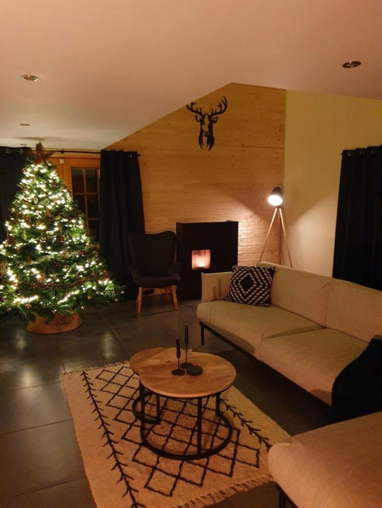 Mesange Chalet Erezee
